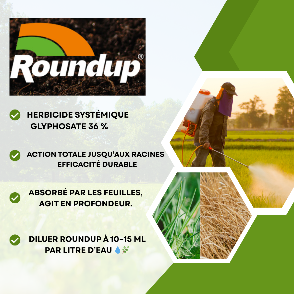 Désherbant Total Systémique à Base de Glyphosate