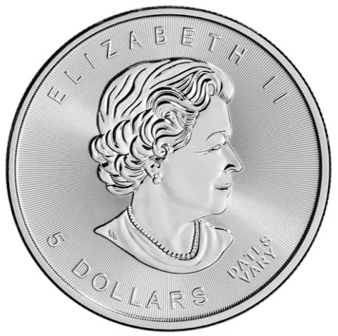1 oz Silver Maple Leaf Coin